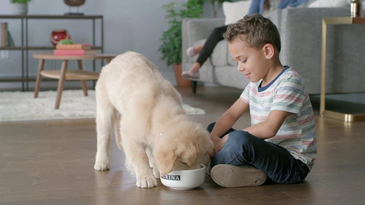Puppy Food Brands by Purina